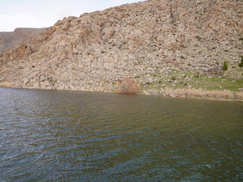 اکوسیستم؛ بازگشت حیات به تالاب هشیلان با تدبیر آب منطقه‌ای کرمانشاه